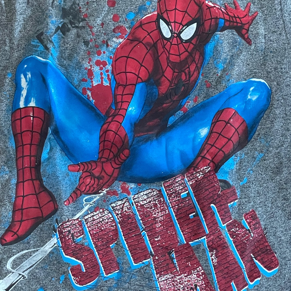Brand New SpiderMan Shirt